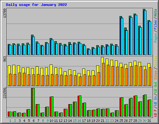 Daily usage for January 2022