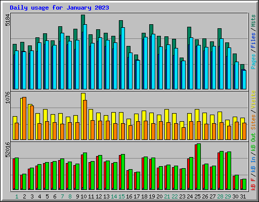Daily usage for January 2023