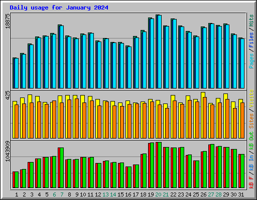 Daily usage for January 2024
