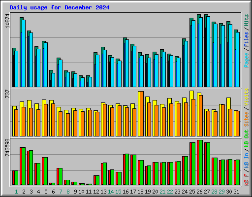 Daily usage for December 2024