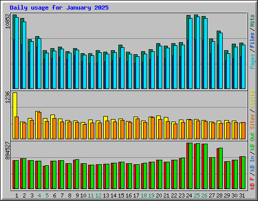 Daily usage for January 2025