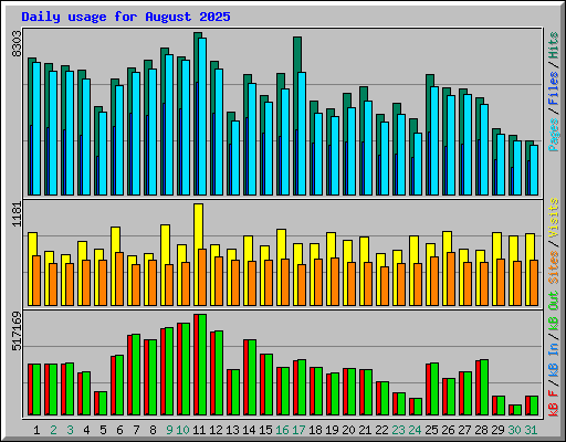 Daily usage for August 2025