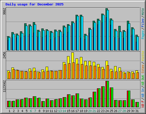 Daily usage for December 2025