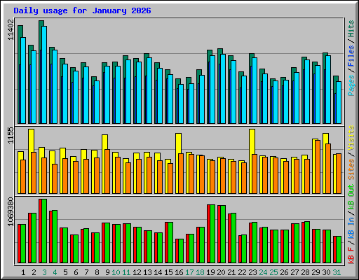 Daily usage for January 2026