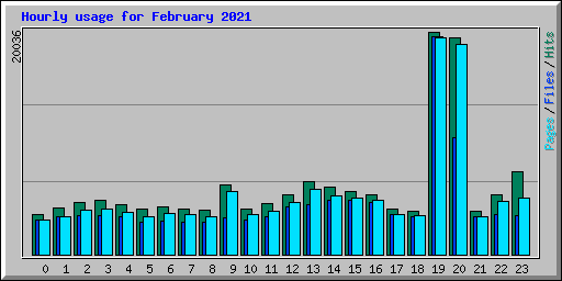 Hourly usage for February 2021