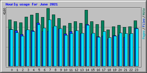 Hourly usage for June 2021