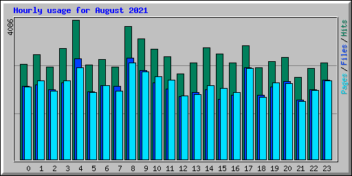Hourly usage for August 2021