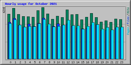 Hourly usage for October 2021