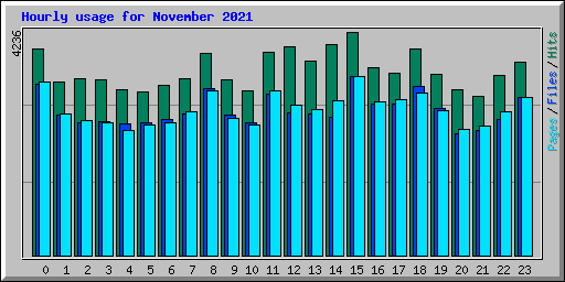 Hourly usage for November 2021