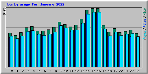 Hourly usage for January 2022