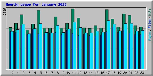 Hourly usage for January 2023