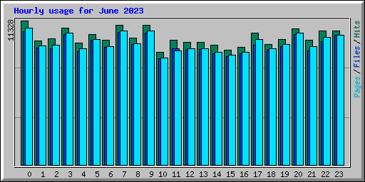 Hourly usage for June 2023