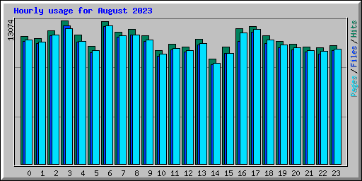Hourly usage for August 2023