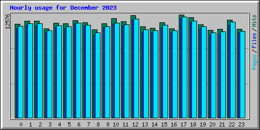 Hourly usage for December 2023