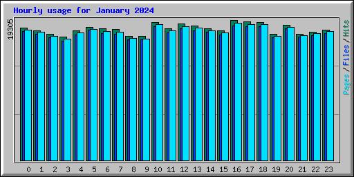 Hourly usage for January 2024