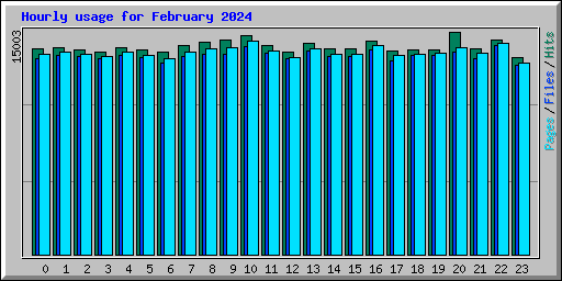 Hourly usage for February 2024
