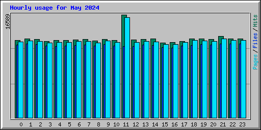 Hourly usage for May 2024