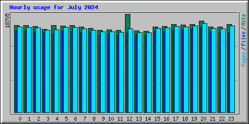 Hourly usage for July 2024