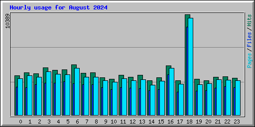 Hourly usage for August 2024