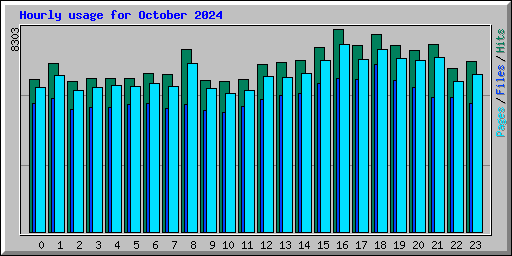 Hourly usage for October 2024