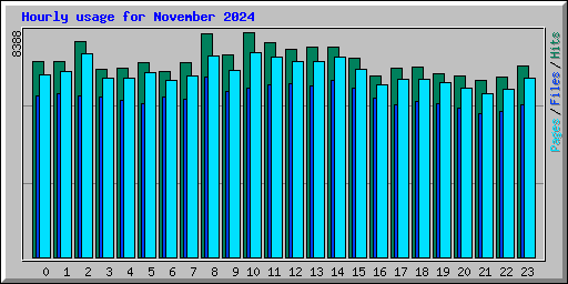 Hourly usage for November 2024