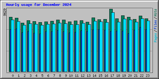 Hourly usage for December 2024