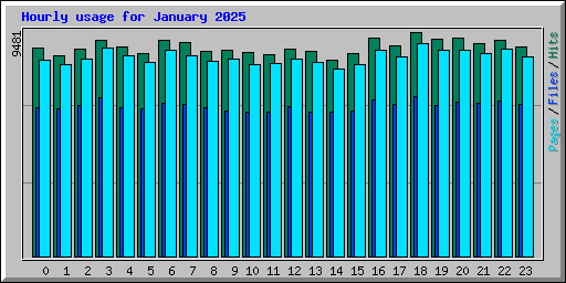 Hourly usage for January 2025