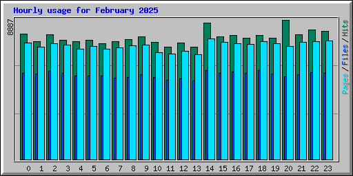 Hourly usage for February 2025