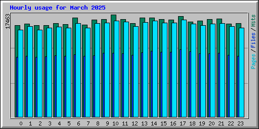 Hourly usage for March 2025