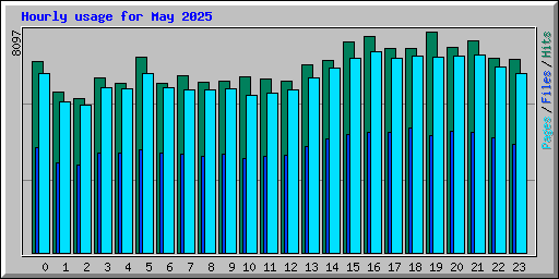 Hourly usage for May 2025