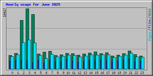 Hourly usage for June 2025