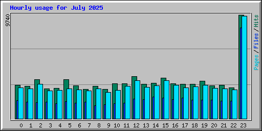 Hourly usage for July 2025
