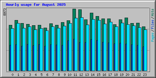 Hourly usage for August 2025