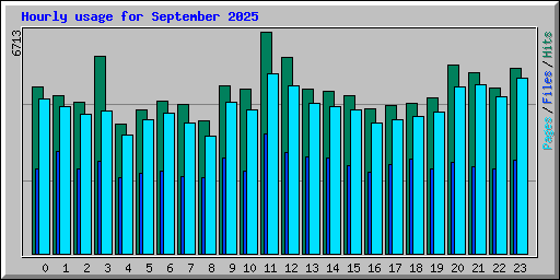 Hourly usage for September 2025
