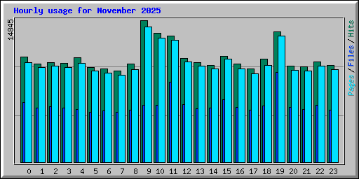 Hourly usage for November 2025