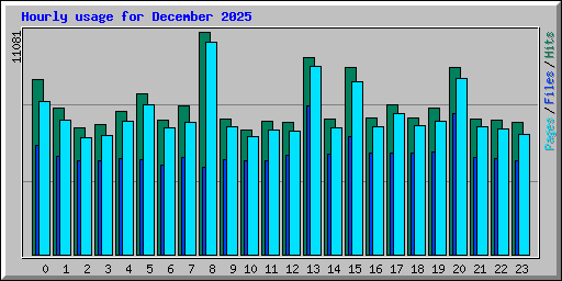 Hourly usage for December 2025
