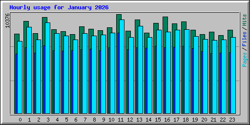 Hourly usage for January 2026