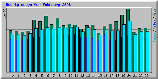 Hourly usage for February 2026
