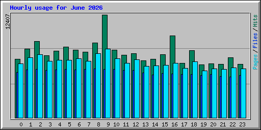 Hourly usage for June 2026
