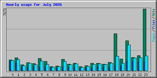 Hourly usage for July 2026