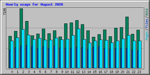 Hourly usage for August 2026